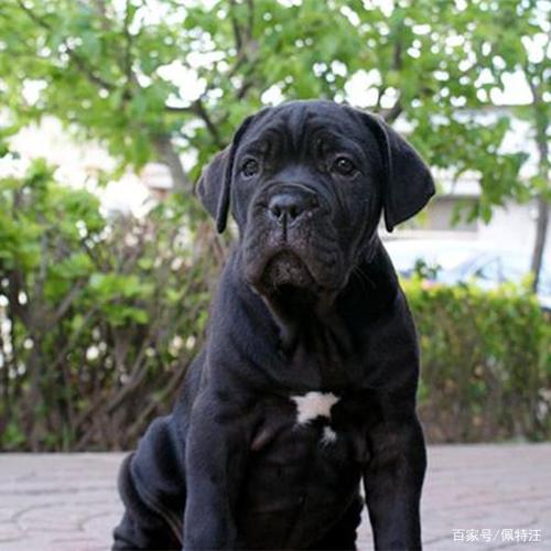 20221120171817_36673 20221120171817_36673