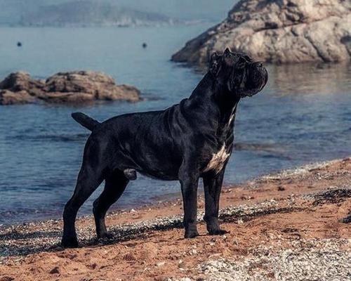 20221120171817_99135 20221120171817_99135