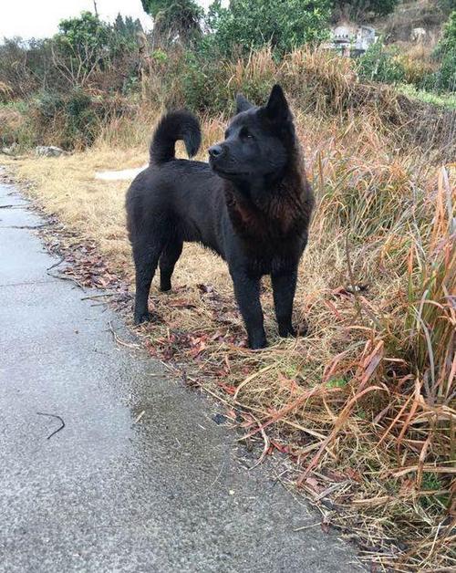 20221120172256_67609