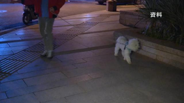 狗狗被东西卡到了怎么办(狗狗有东西卡在喉咙里怎么办) - 警犬训练器材厂家 _警犬训练用品_工作犬训练用品-南京开久警犬装备-警犬训练器材厂家 _警犬训练用品_工作犬训练用品-南京开久警犬装备