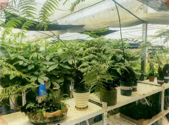 20221120175317_15364