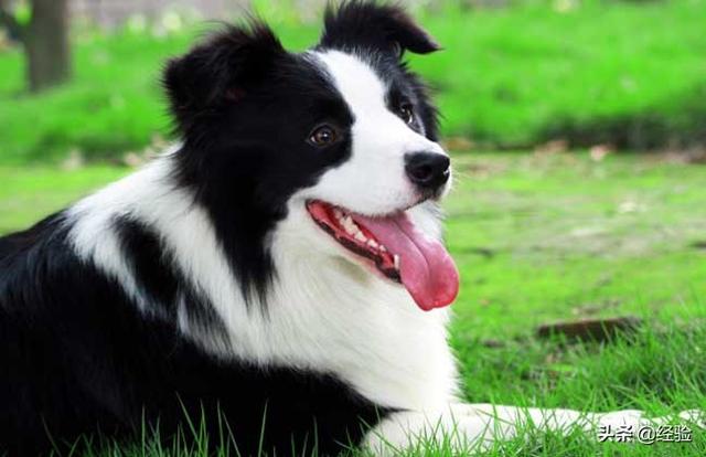 20221120175948_47490 20221120175948_47490