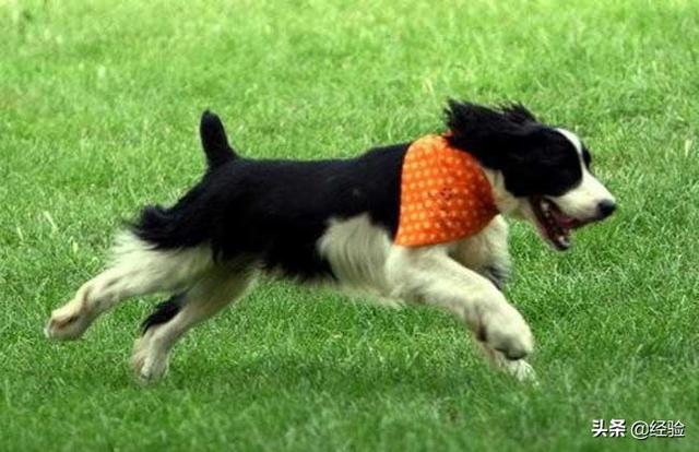 20221120175949_29404 20221120175949_29404