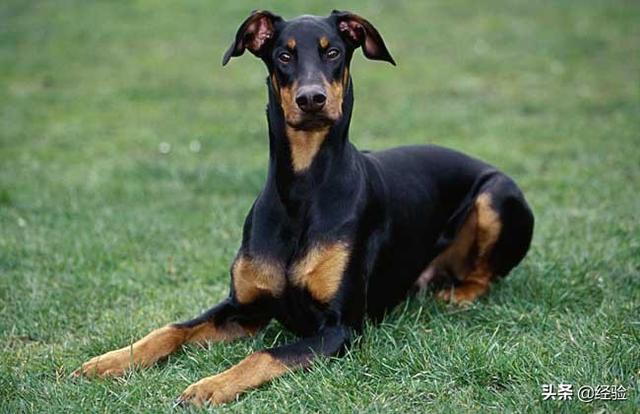 20221120175949_88196 20221120175949_88196