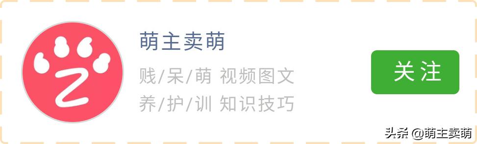 20221120180308_13916