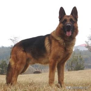 20221120183151_35901 20221120183151_35901