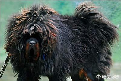 20221120183601_18895 20221120183601_18895