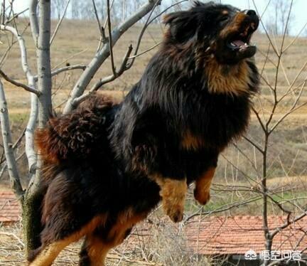 20221120183602_33953 20221120183602_33953