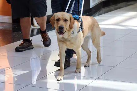 20221120194034_69834 20221120194034_69834