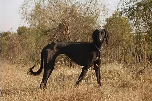 20221120194148_91984