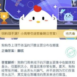 狗身上的汗腺在哪几个地方-警犬训练器材厂家 _警犬训练用品_工作犬训练用品-南京开久警犬装备