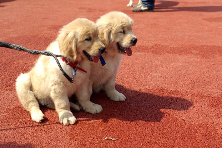 20221120200116_31989 20221120200116_31989