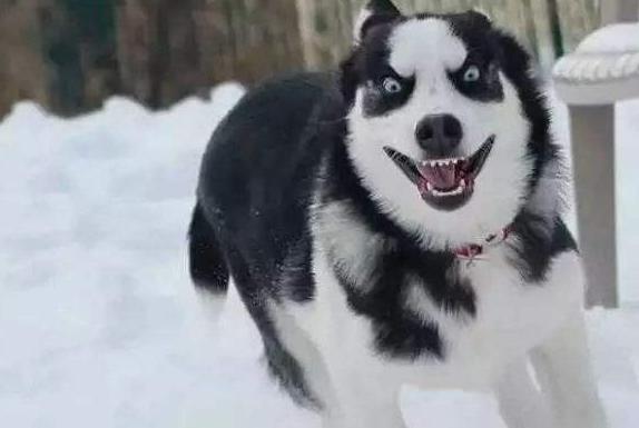 20221120200312_26338