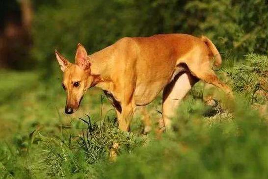 20221120200312_92704