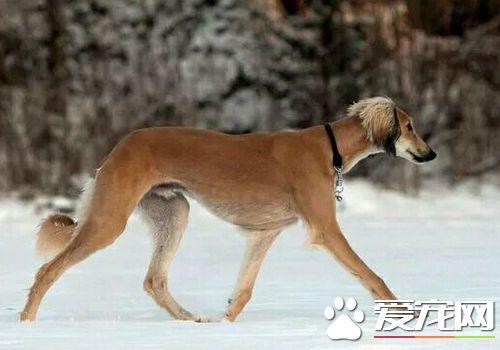 20221120201317_30841