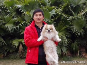 狗狗身上有跳蚤怎么办(一个月的狗狗身上有跳蚤怎么办)-警犬训练器材厂家 _警犬训练用品_工作犬训练用品-南京开久警犬装备