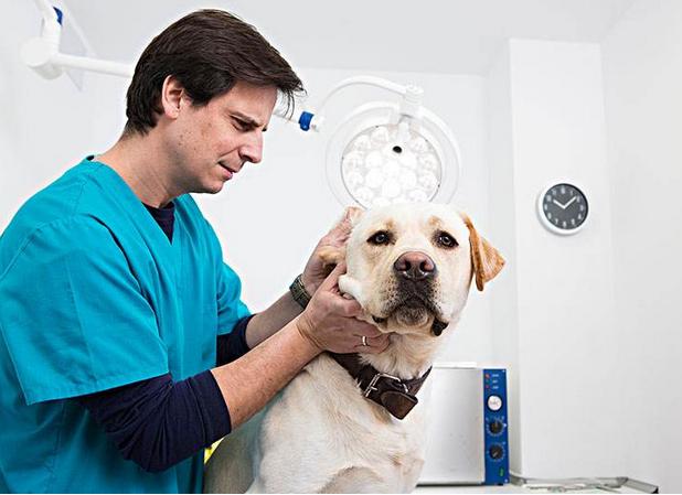 20221120202719_46604