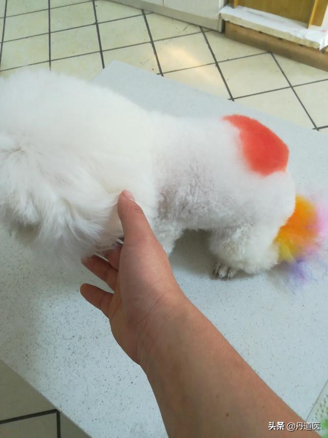 20221120203028_50229 20221120203028_50229