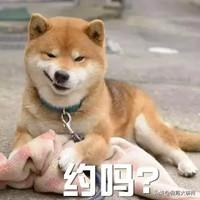 20221120203100_47846 20221120203100_47846