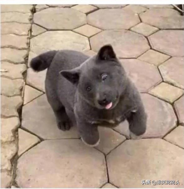 20221120203101_13168 20221120203101_13168