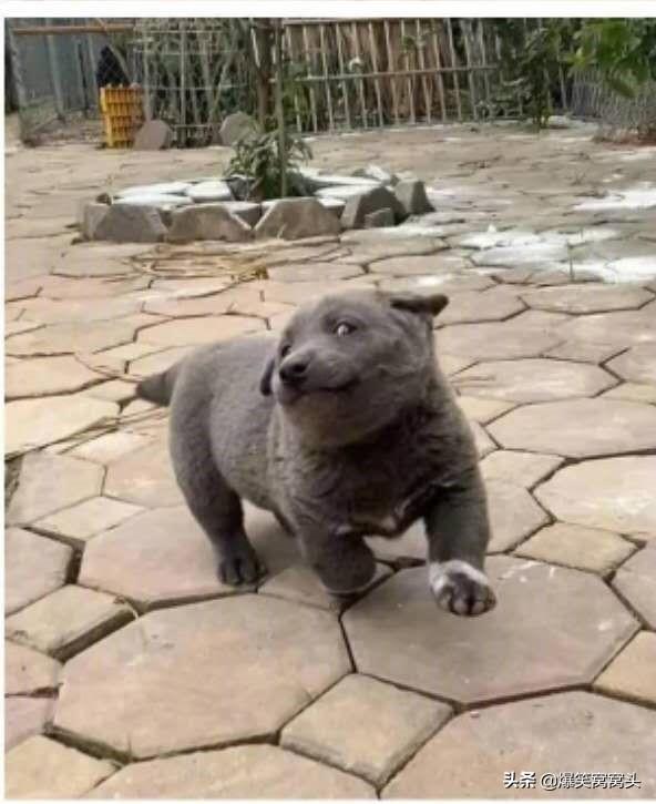 20221120203101_19700 20221120203101_19700