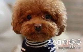 20221120203624_90920 20221120203624_90920