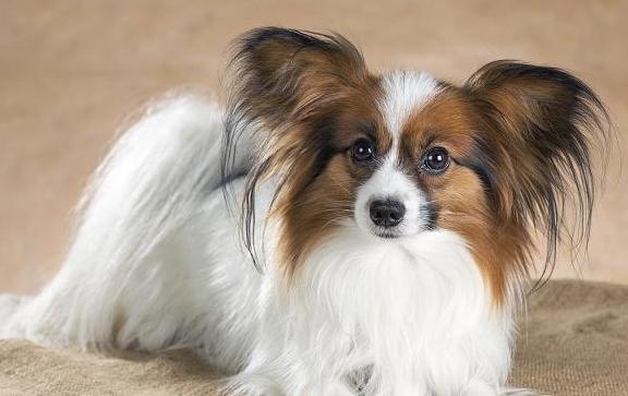 20221120203627_11458 20221120203627_11458