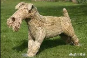 说人很狗是什么意思(别人说你狗是什么意思)-警犬训练器材厂家 _警犬训练用品_工作犬训练用品-南京开久警犬装备