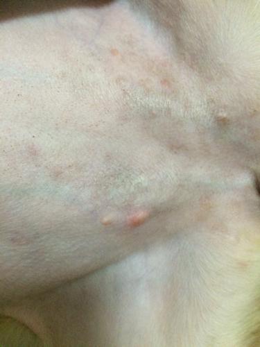 20221120203742_15310