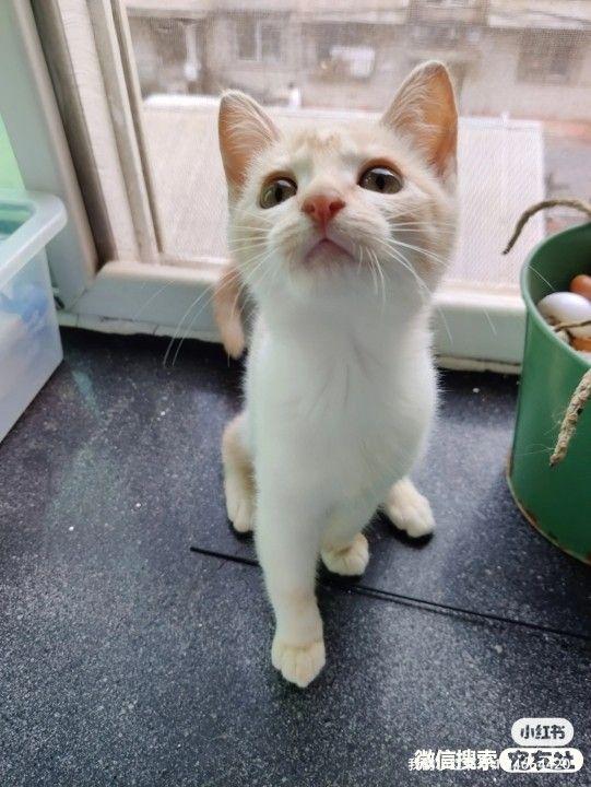 20221120204219_61008 20221120204219_61008