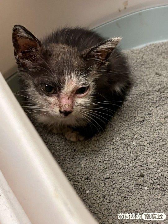 20221120204219_83934 20221120204219_83934