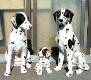 纯种大麦町犬多少钱(大麦町犬纯种是什么样)-警犬训练器材厂家 _警犬训练用品_工作犬训练用品-南京开久警犬装备