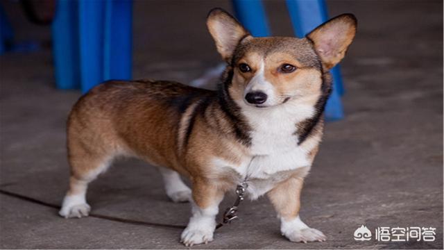 20221120204420_60158