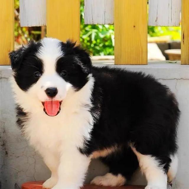 20221120204648_16712 20221120204648_16712