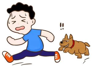 5岁男童遭狗扑咬整夜做噩梦-警犬训练器材厂家 _警犬训练用品_工作犬训练用品-南京开久警犬装备