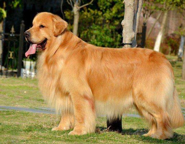 20221121084856_64217