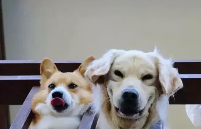 20221121085034_68286