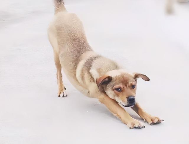 20221121085034_75847