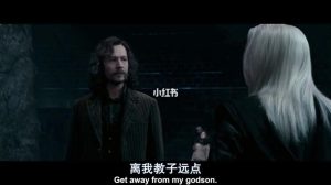 小天狼星是什么品种的狗(小天狼星阿尼玛格斯是什么狗)-警犬训练器材厂家 _警犬训练用品_工作犬训练用品-南京开久警犬装备