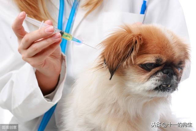 20221121091606_49563 20221121091606_49563