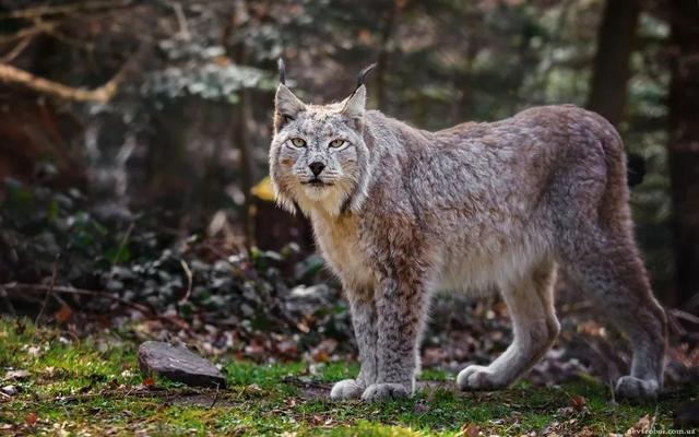 20221121092005_88161 20221121092005_88161