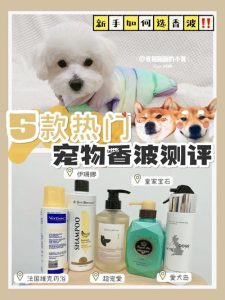 狗狗用什么香波香波的选择是非常重要的!-警犬训练器材厂家 _警犬训练用品_工作犬训练用品-南京开久警犬装备