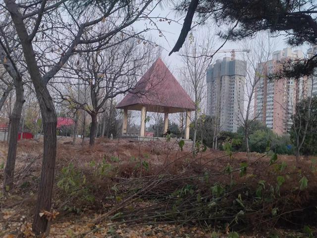 北京宠物狗养殖基地(东莞宠物狗养殖基地) - 警犬训练器材厂家 _警犬训练用品_工作犬训练用品-南京开久警犬装备-警犬训练器材厂家 _警犬训练用品_工作犬训练用品-南京开久警犬装备