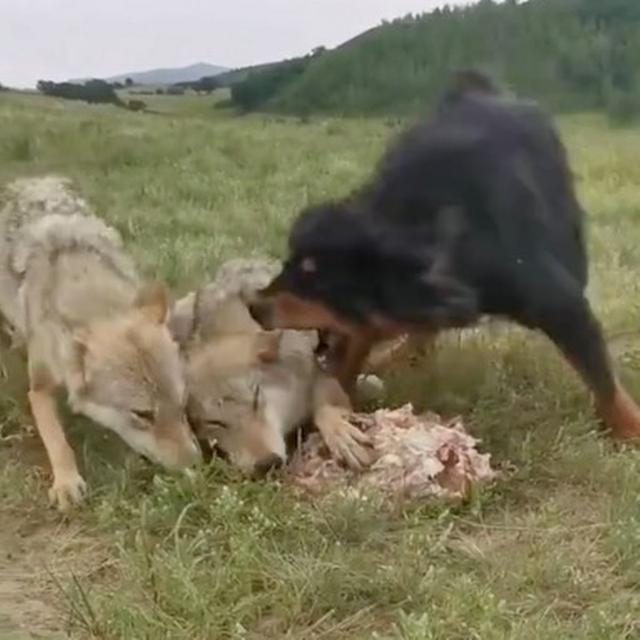 20221121103317_36018 20221121103317_36018