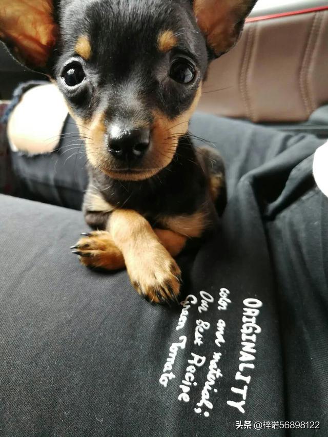 20221121110858_76888 20221121110858_76888