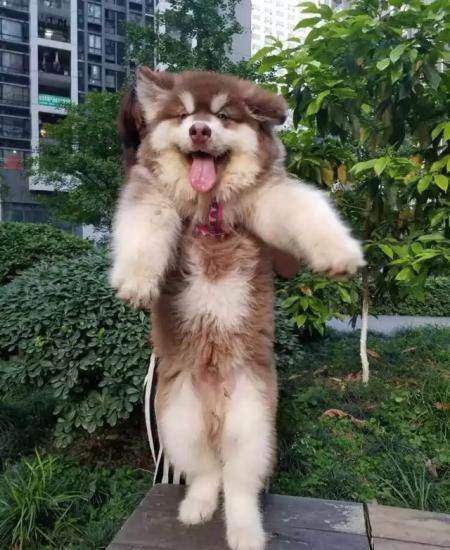 20221121122418_21598 20221121122418_21598