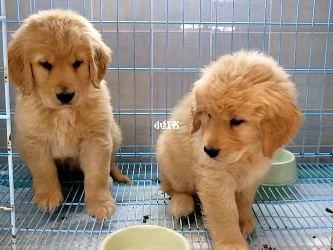 20221121122419_16705 20221121122419_16705