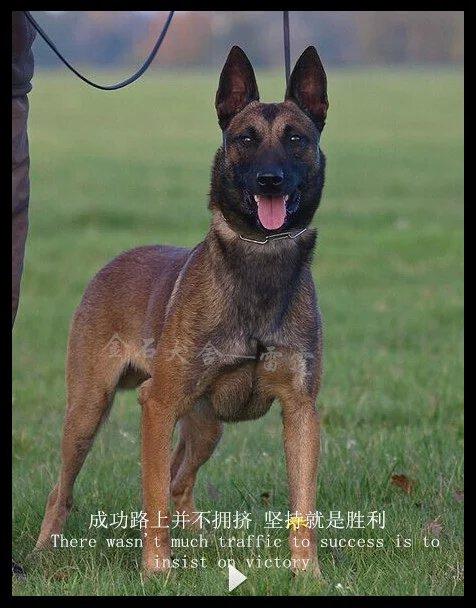 20221121123657_42300