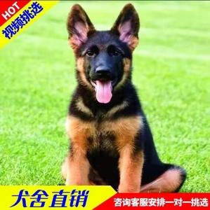 20221121124216_10234