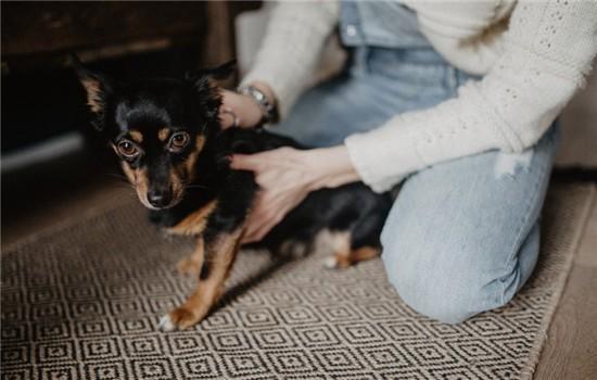 20221121135748_41414